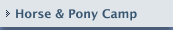 Horse & Pony Camp