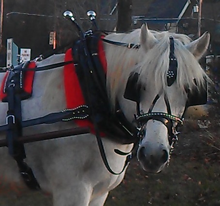 Wagon rides